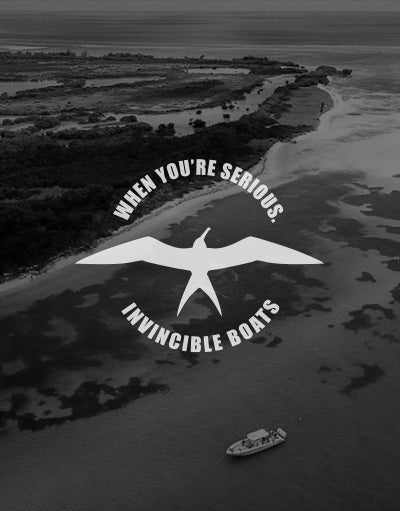 ANETIK x Invincible Boats partnership logo over aerial coastline with boat