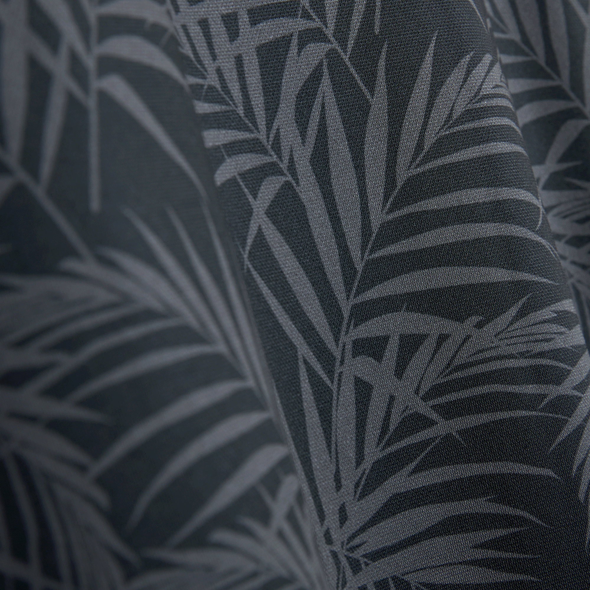 PALMS BLACK