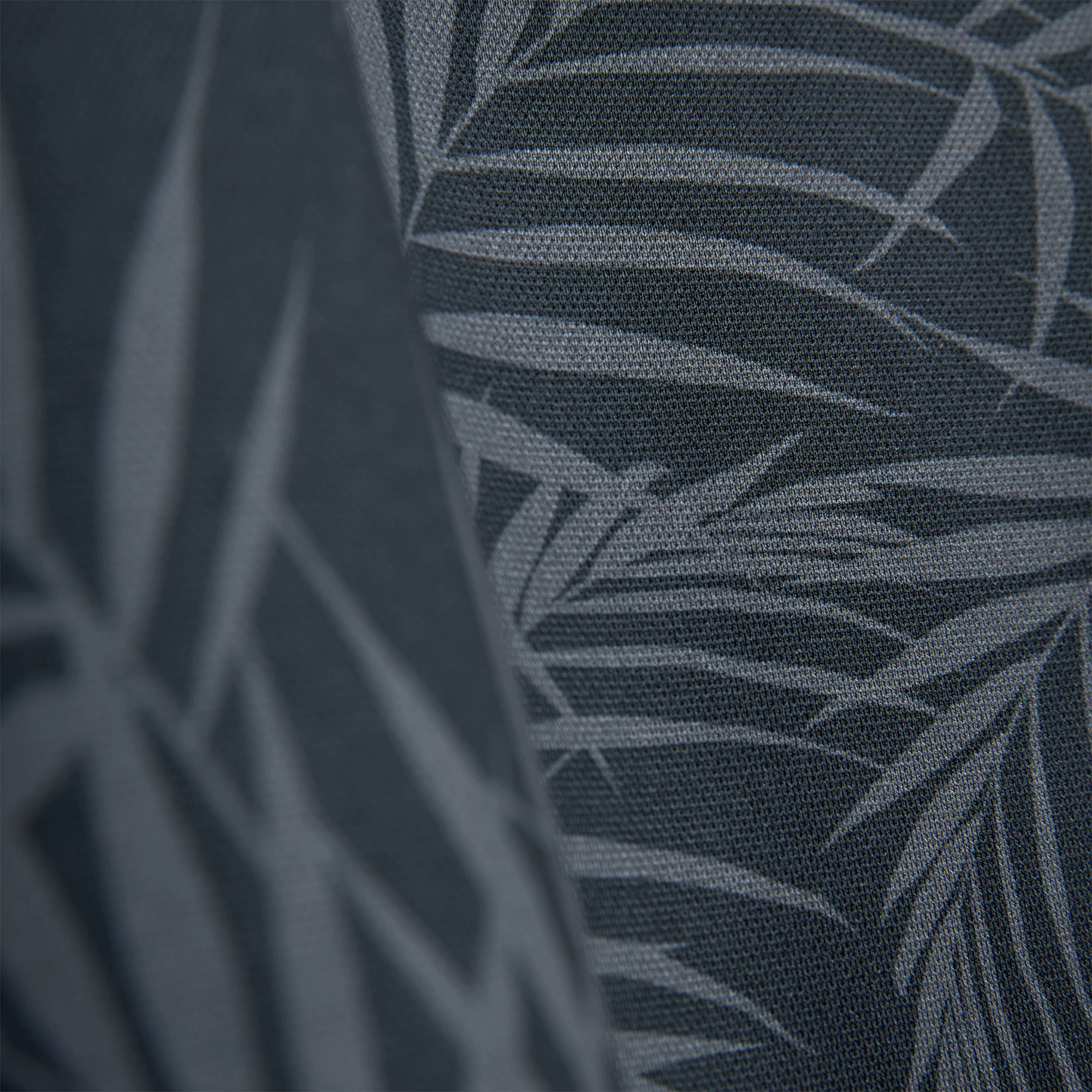 PALMS BLACK